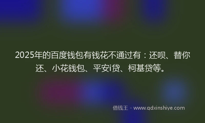2025年的百度钱包有钱花不通过有：还呗、替你还、小花钱包、平安i贷、柯基贷等。