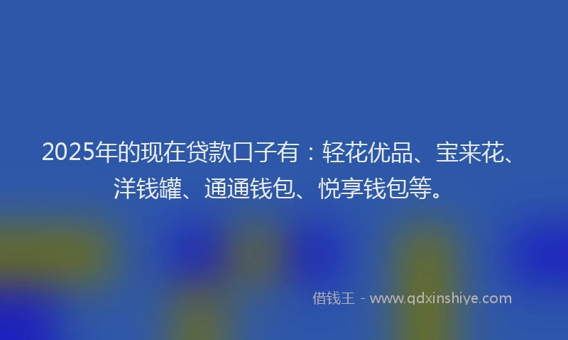 2025年的现在贷款口子有：轻花优品、宝来花、洋钱罐、通通钱包、悦享钱包等。