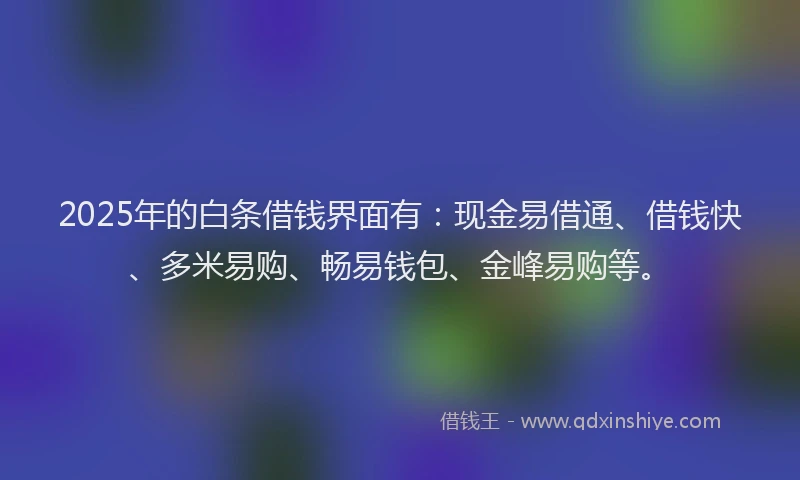 2025年的白条借钱界面有：现金易借通、借钱快、多米易购、畅易钱包、金峰易购等。