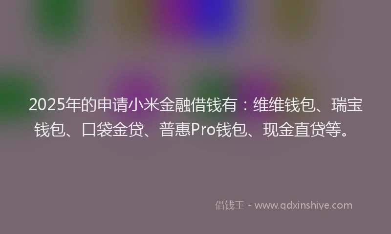 2025年的申请小米金融借钱有：维维钱包、瑞宝钱包、口袋金贷、普惠Pro钱包、现金直贷等。