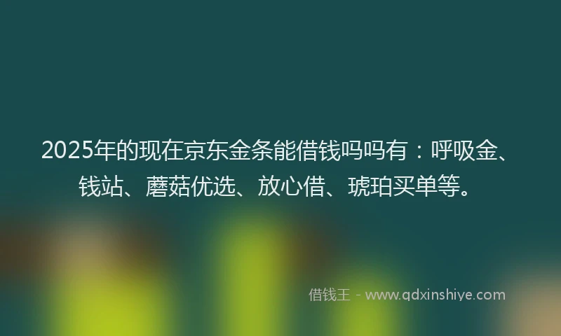 2025年的现在京东金条能借钱吗吗有：呼吸金、钱站、蘑菇优选、放心借、琥珀买单等。