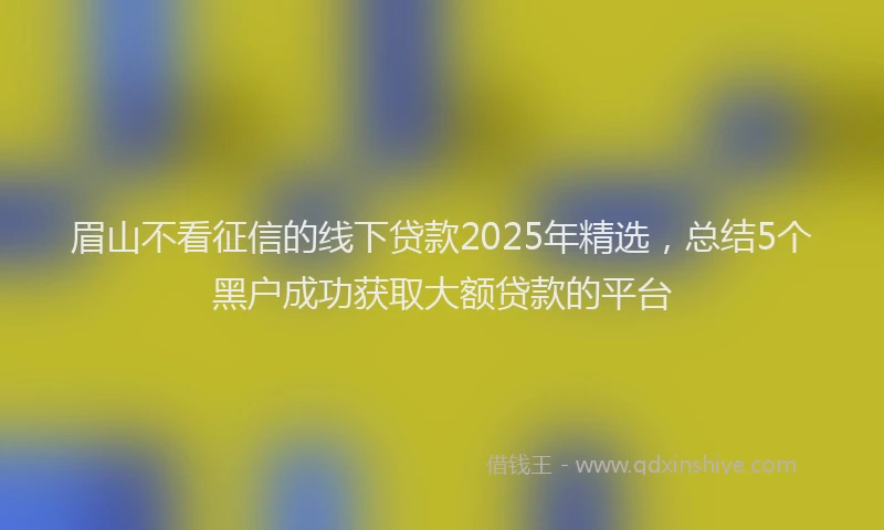 眉山不看征信的线下贷款2025年精选，总结5个黑户成功获取大额贷款的平台