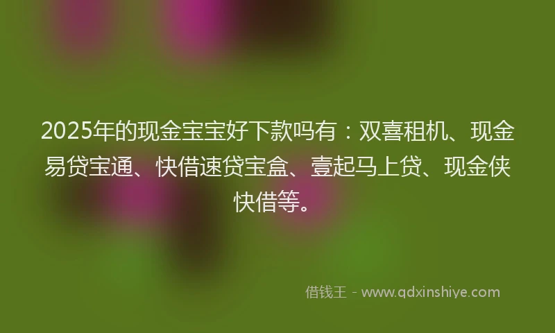 2025年的现金宝宝好下款吗有：双喜租机、现金易贷宝通、快借速贷宝盒、壹起马上贷、现金侠快借等。