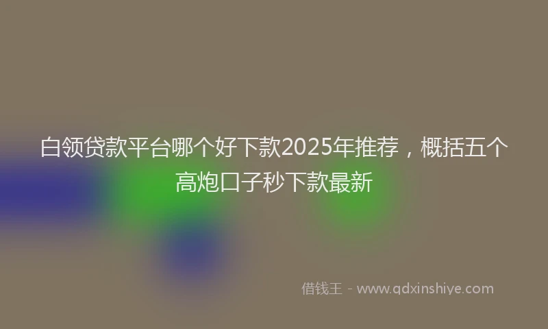 白领贷款平台哪个好下款2025年推荐，概括五个高炮口子秒下款最新