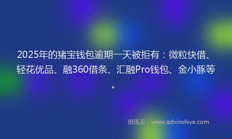 2025年的猪宝钱包逾期一天被拒有：微粒快借、轻花优品、融360借条、汇融Pro钱包、金小豚等。
