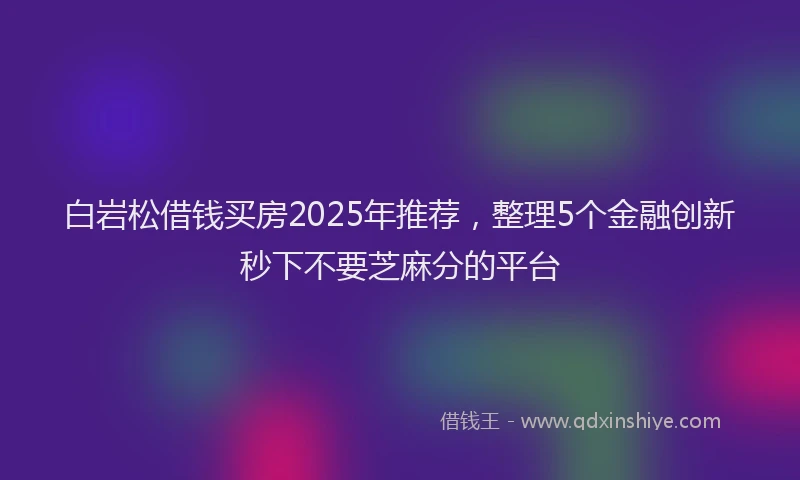白岩松借钱买房2025年推荐，整理5个金融创新秒下不要芝麻分的平台