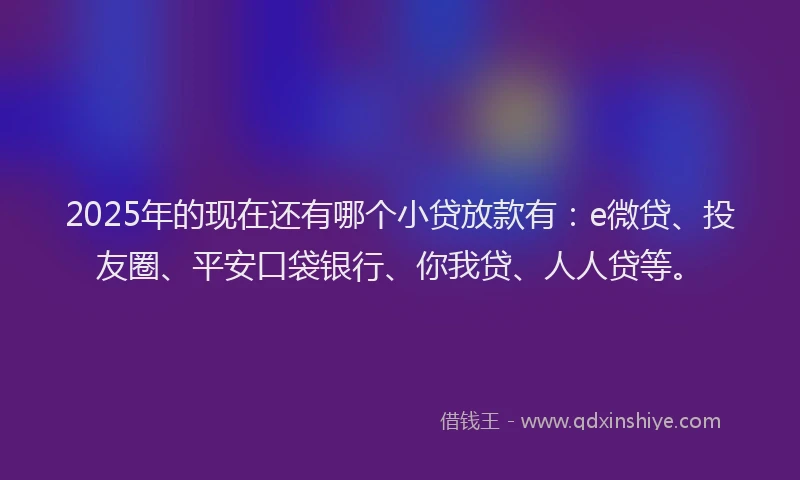 2025年的现在还有哪个小贷放款有：e微贷、投友圈、平安口袋银行、你我贷、人人贷等。