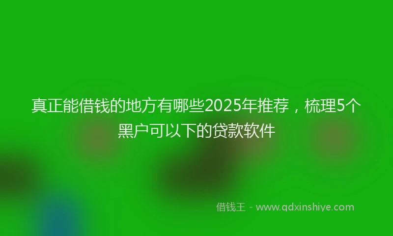 真正能借钱的地方有哪些2025年推荐，梳理5个黑户可以下的贷款软件