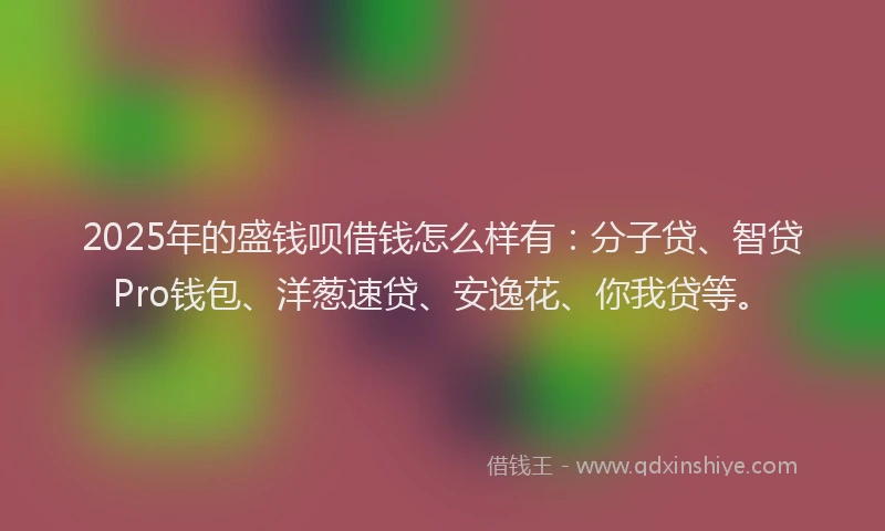 2025年的盛钱呗借钱怎么样有：分子贷、智贷Pro钱包、洋葱速贷、安逸花、你我贷等。