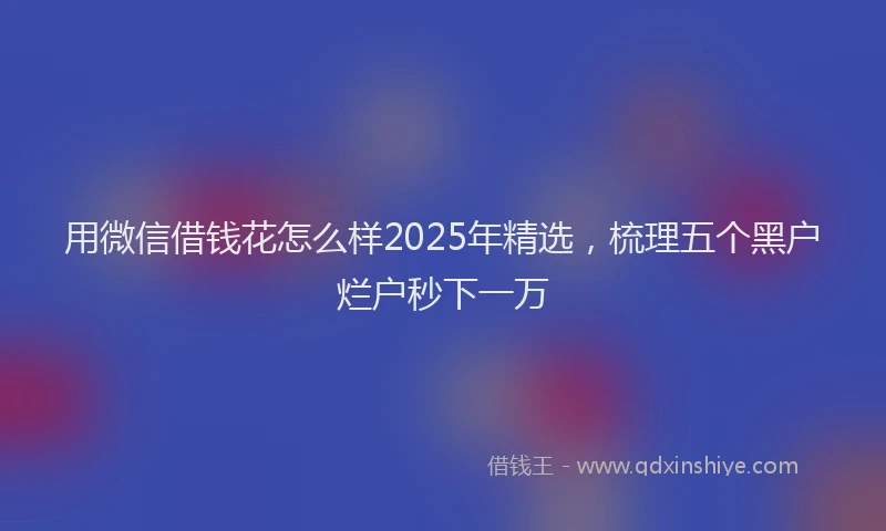 用微信借钱花怎么样2025年精选，梳理五个黑户烂户秒下一万