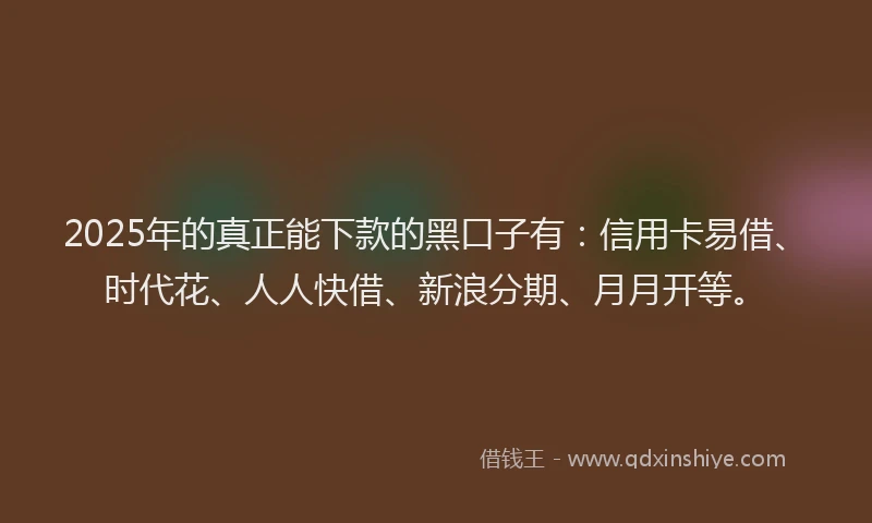 2025年的真正能下款的黑口子有：信用卡易借、时代花、人人快借、新浪分期、月月开等。