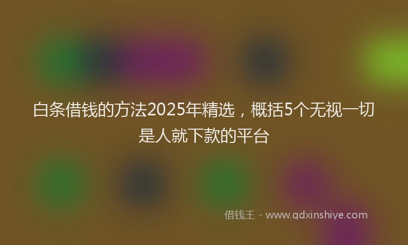 白条借钱的方法2025年精选，概括5个无视一切是人就下款的平台