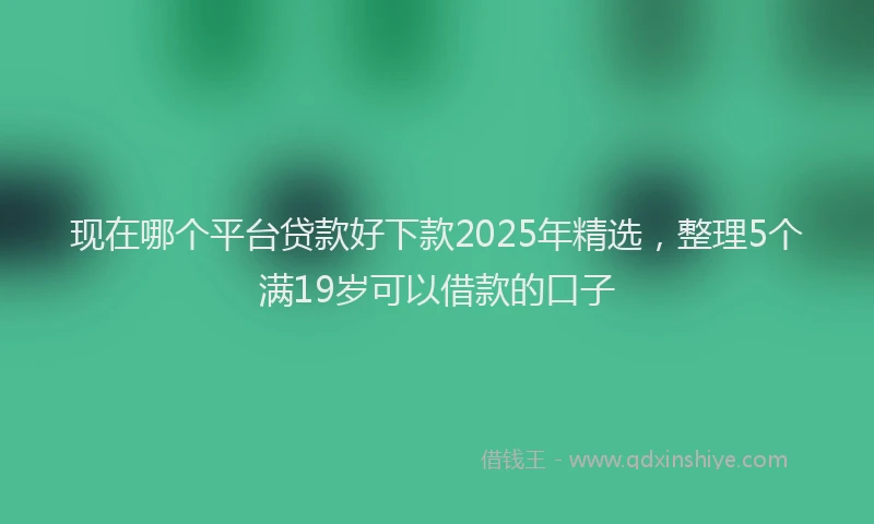 现在哪个平台贷款好下款2025年精选，整理5个满19岁可以借款的口子