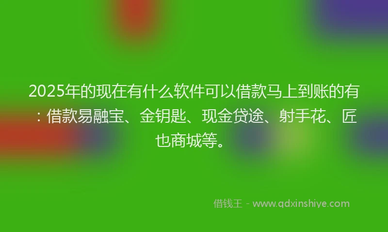 2025年的现在有什么软件可以借款马上到账的有：借款易融宝、金钥匙、现金贷途、射手花、匠也商城等。