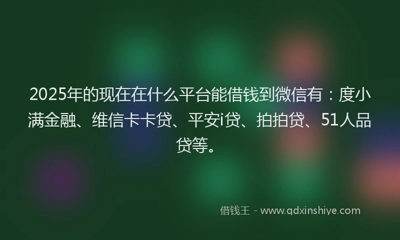 2025年的现在在什么平台能借钱到微信有：度小满金融、维信卡卡贷、平安i贷、拍拍贷、51人品贷等。