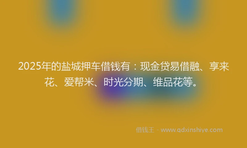 2025年的盐城押车借钱有：现金贷易借融、享来花、爱帮米、时光分期、维品花等。