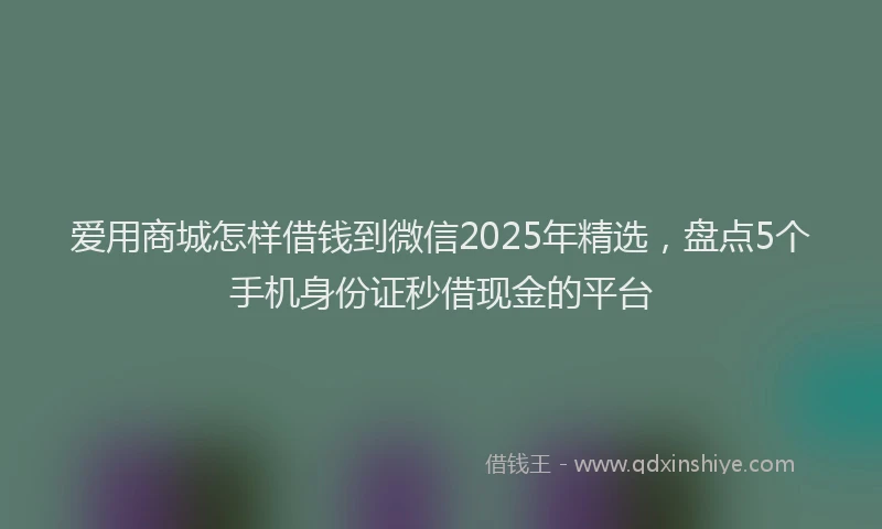 爱用商城怎样借钱到微信2025年精选，盘点5个手机身份证秒借现金的平台