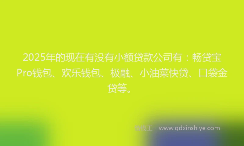 2025年的现在有没有小额贷款公司有：畅贷宝Pro钱包、欢乐钱包、极融、小油菜快贷、口袋金贷等。