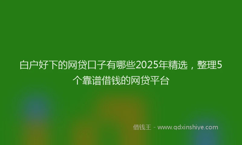 白户好下的网贷口子有哪些2025年精选，整理5个靠谱借钱的网贷平台