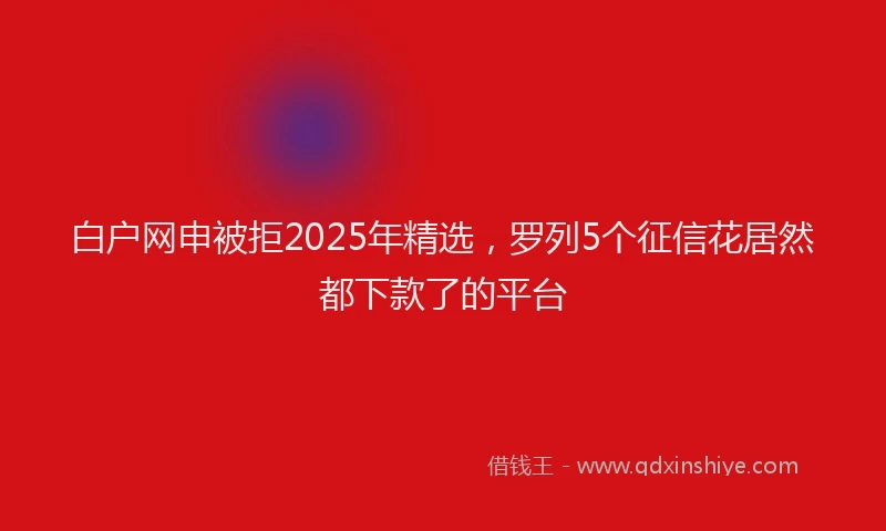 白户网申被拒2025年精选，罗列5个征信花居然都下款了的平台