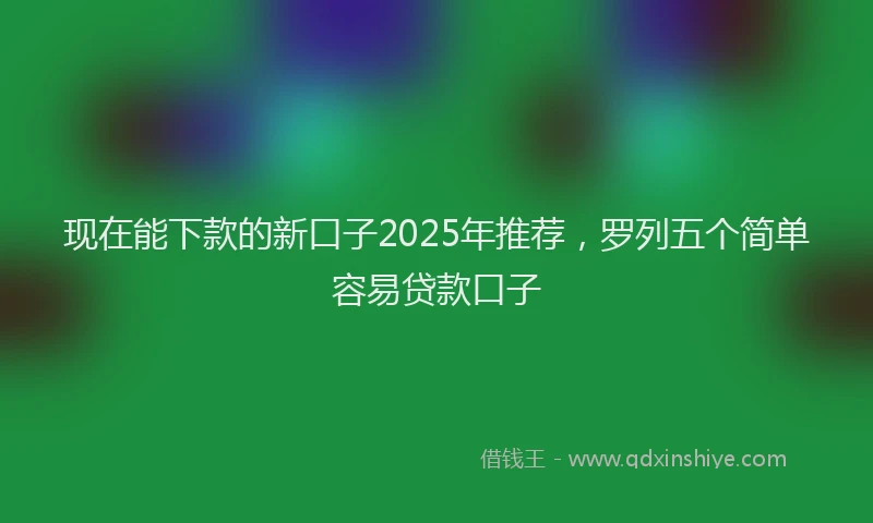 现在能下款的新口子2025年推荐，罗列五个简单容易贷款口子