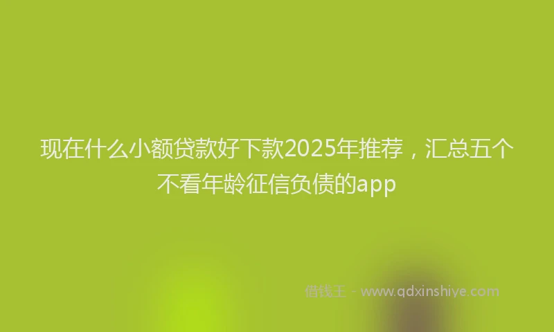 现在什么小额贷款好下款2025年推荐，汇总五个不看年龄征信负债的app