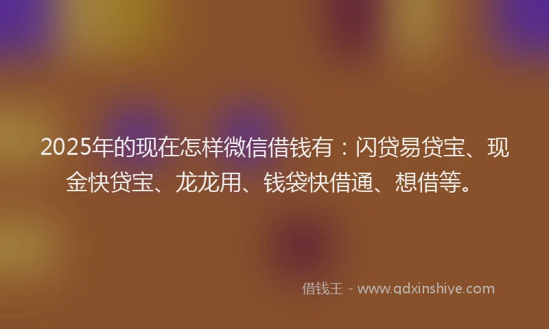 2025年的现在怎样微信借钱有：闪贷易贷宝、现金快贷宝、龙龙用、钱袋快借通、想借等。