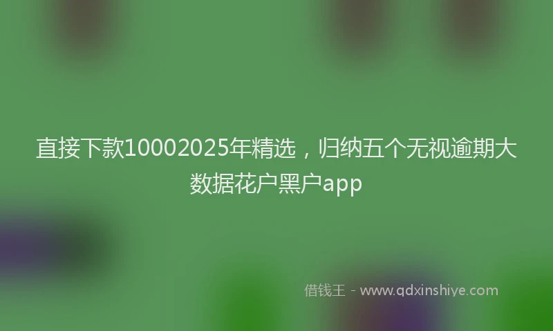 直接下款10002025年精选，归纳五个无视逾期大数据花户黑户app