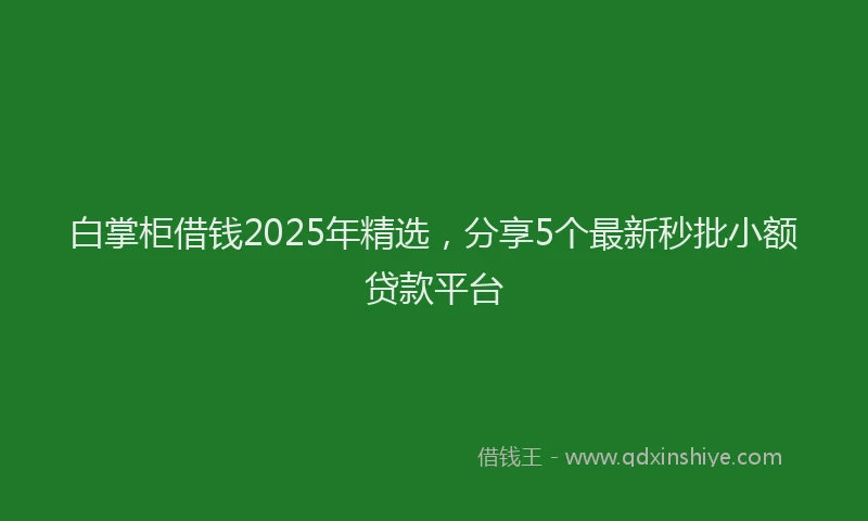 白掌柜借钱2025年精选，分享5个最新秒批小额贷款平台
