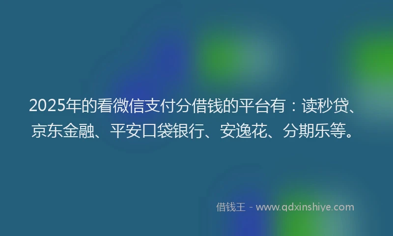 2025年的看微信支付分借钱的平台有：读秒贷、京东金融、平安口袋银行、安逸花、分期乐等。