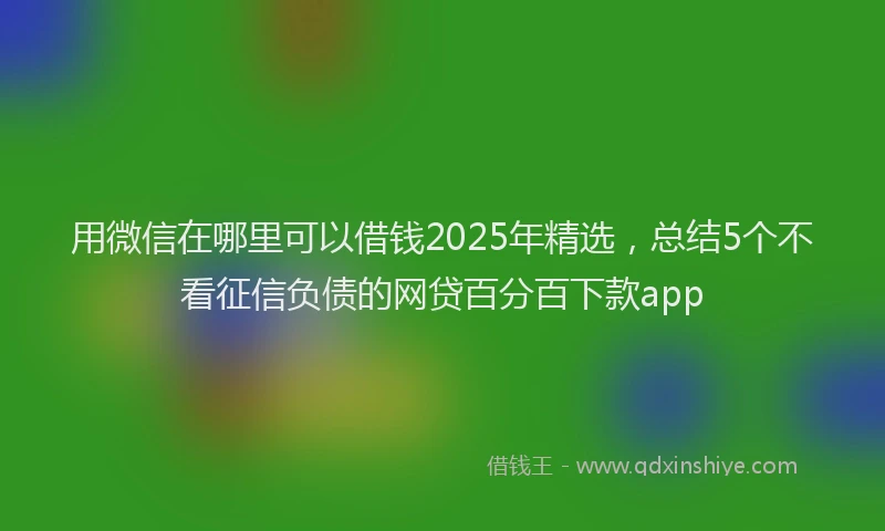 用微信在哪里可以借钱2025年精选，总结5个不看征信负债的网贷百分百下款app