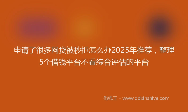 申请了很多网贷被秒拒怎么办2025年推荐，整理5个借钱平台不看综合评估的平台