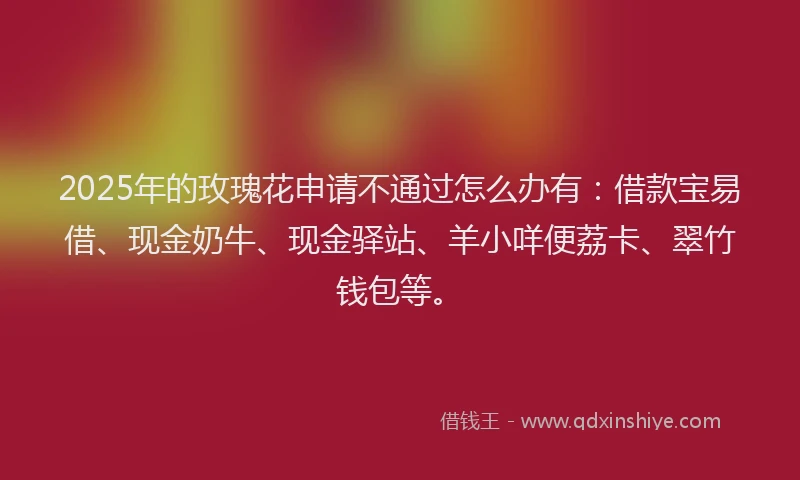 2025年的玫瑰花申请不通过怎么办有：借款宝易借、现金奶牛、现金驿站、羊小咩便荔卡、翠竹钱包等。