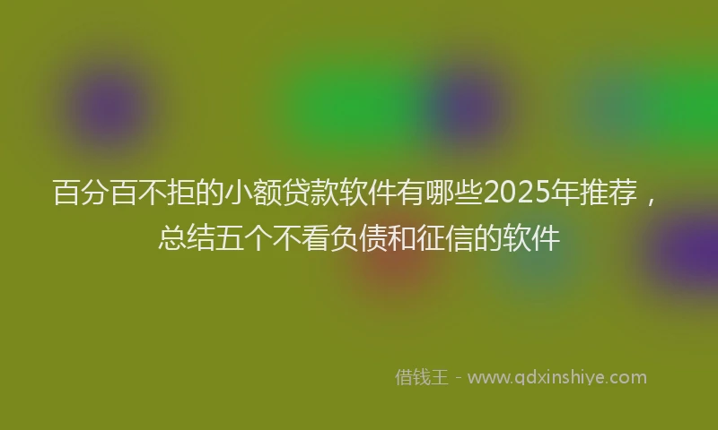 百分百不拒的小额贷款软件有哪些2025年推荐，总结五个不看负债和征信的软件
