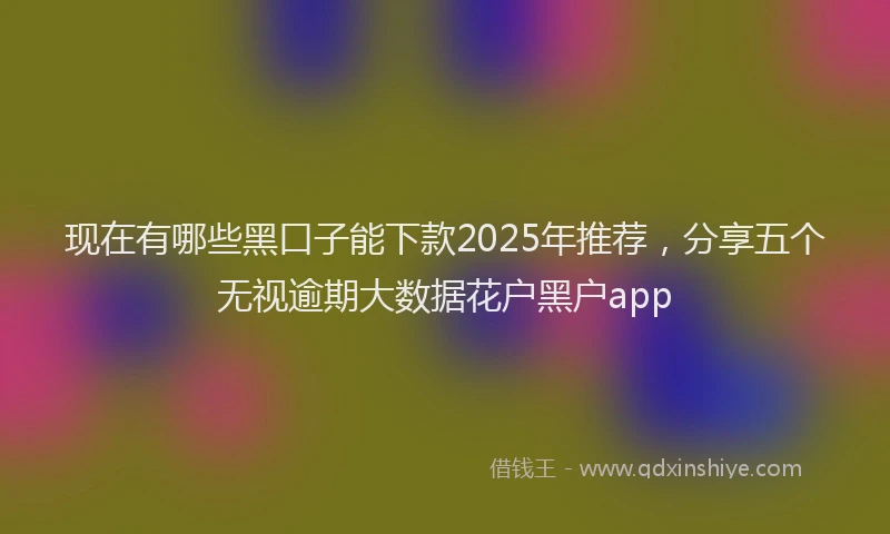 现在有哪些黑口子能下款2025年推荐，分享五个无视逾期大数据花户黑户app