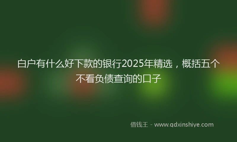 白户有什么好下款的银行2025年精选，概括五个不看负债查询的口子