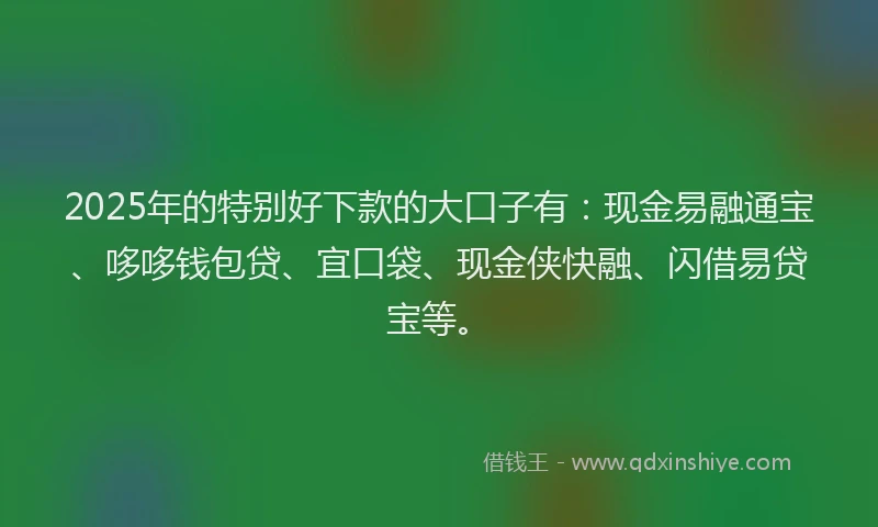 2025年的特别好下款的大口子有：现金易融通宝、哆哆钱包贷、宜口袋、现金侠快融、闪借易贷宝等。