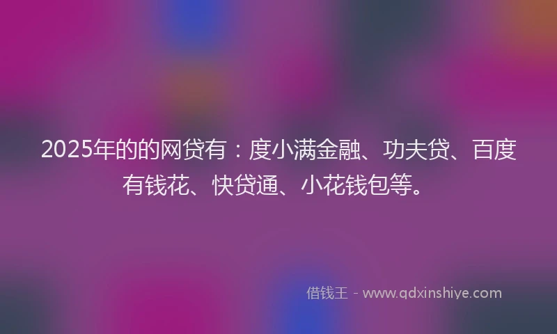 2025年的的网贷有：度小满金融、功夫贷、百度有钱花、快贷通、小花钱包等。