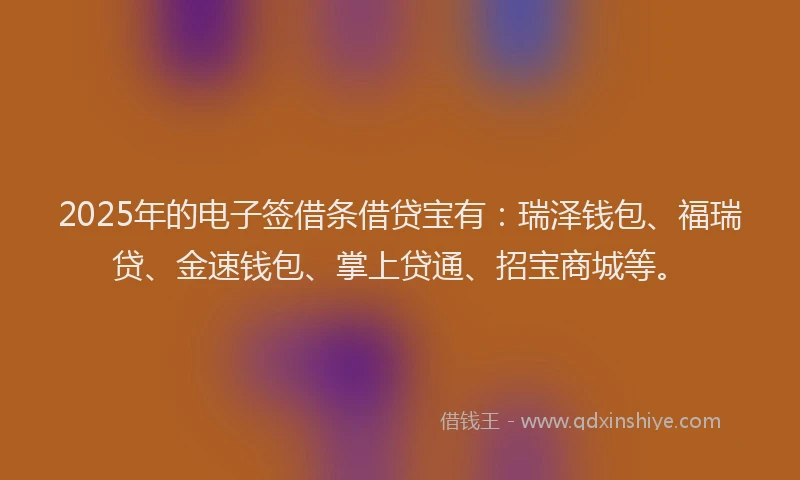 2025年的电子签借条借贷宝有：瑞泽钱包、福瑞贷、金速钱包、掌上贷通、招宝商城等。