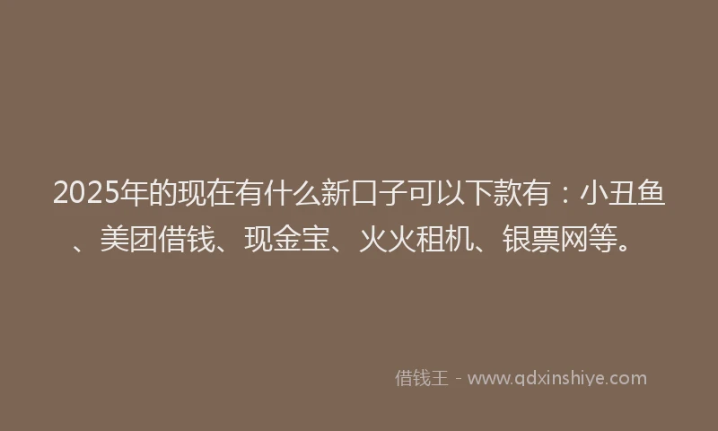 2025年的现在有什么新口子可以下款有：小丑鱼、美团借钱、现金宝、火火租机、银票网等。