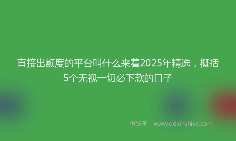 直接出额度的平台叫什么来着2025年精选，概括5个无视一切必下款的口子