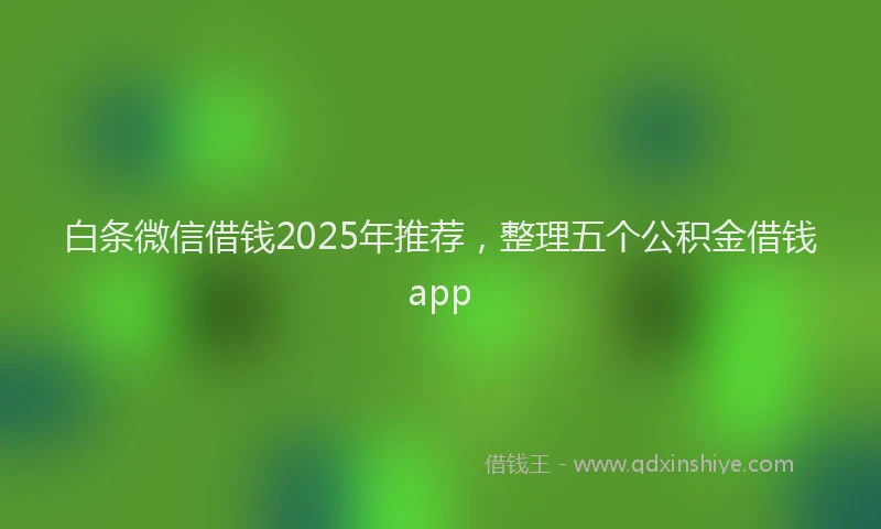 白条微信借钱2025年推荐，整理五个公积金借钱app