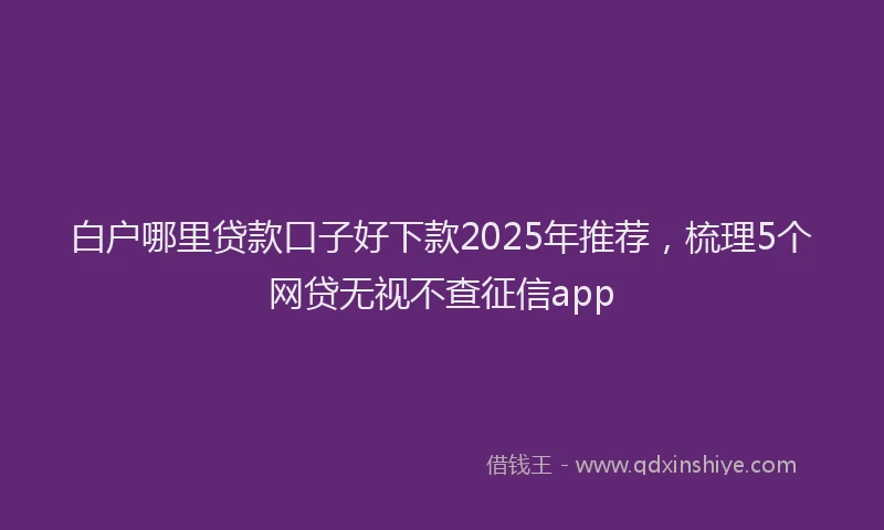白户哪里贷款口子好下款2025年推荐，梳理5个网贷无视不查征信app