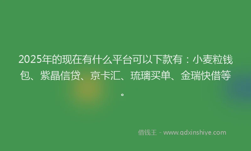 2025年的现在有什么平台可以下款有：小麦粒钱包、紫晶信贷、京卡汇、琉璃买单、金瑞快借等。