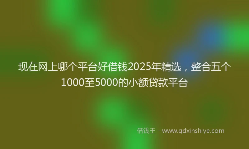 现在网上哪个平台好借钱2025年精选，整合五个1000至5000的小额贷款平台