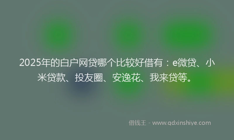 2025年的白户网贷哪个比较好借有：e微贷、小米贷款、投友圈、安逸花、我来贷等。