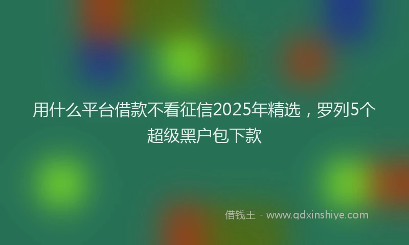 用什么平台借款不看征信2025年精选，罗列5个超级黑户包下款