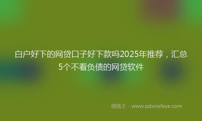 白户好下的网贷口子好下款吗2025年推荐，汇总5个不看负债的网贷软件