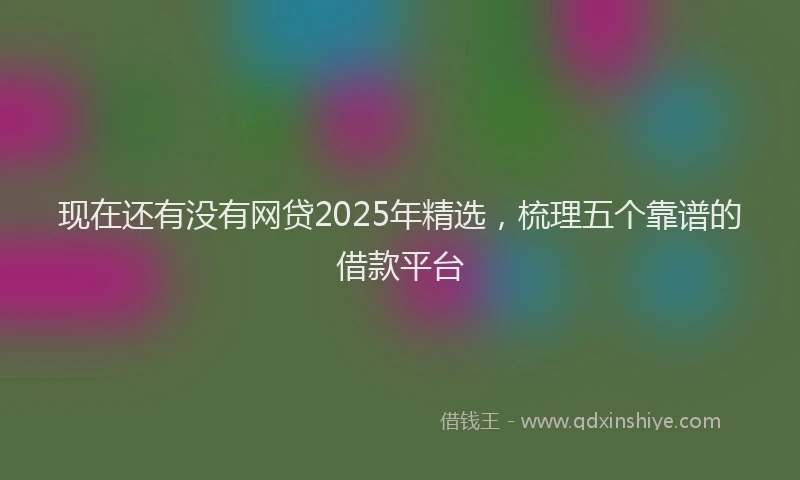 现在还有没有网贷2025年精选，梳理五个靠谱的借款平台