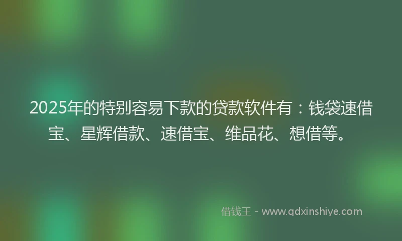 2025年的特别容易下款的贷款软件有：钱袋速借宝、星辉借款、速借宝、维品花、想借等。